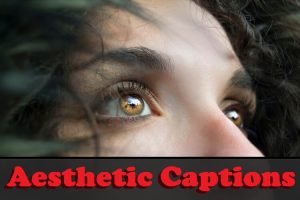 135+ Aesthetic Captions For Instagram (Short, Selfie, Cool)