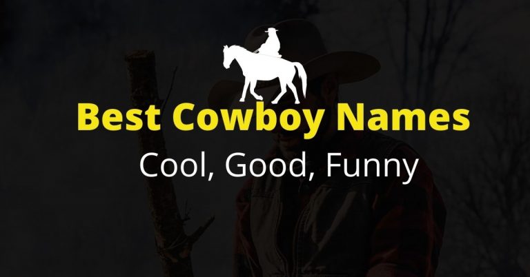 232-best-cowboy-names-cool-good-funny