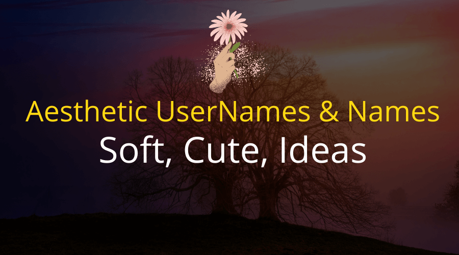 902 Aesthetic Usernames Names Soft Cute Ideas - username ideas for roblox aesthetic