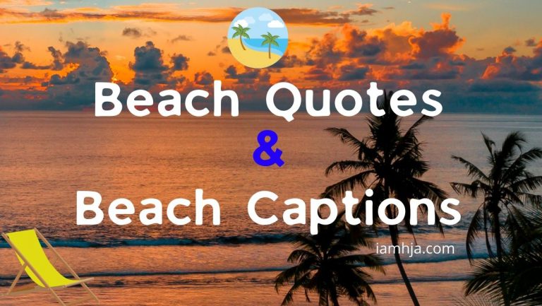 91 Best Beach Quotes & Beach Captions For Everyone