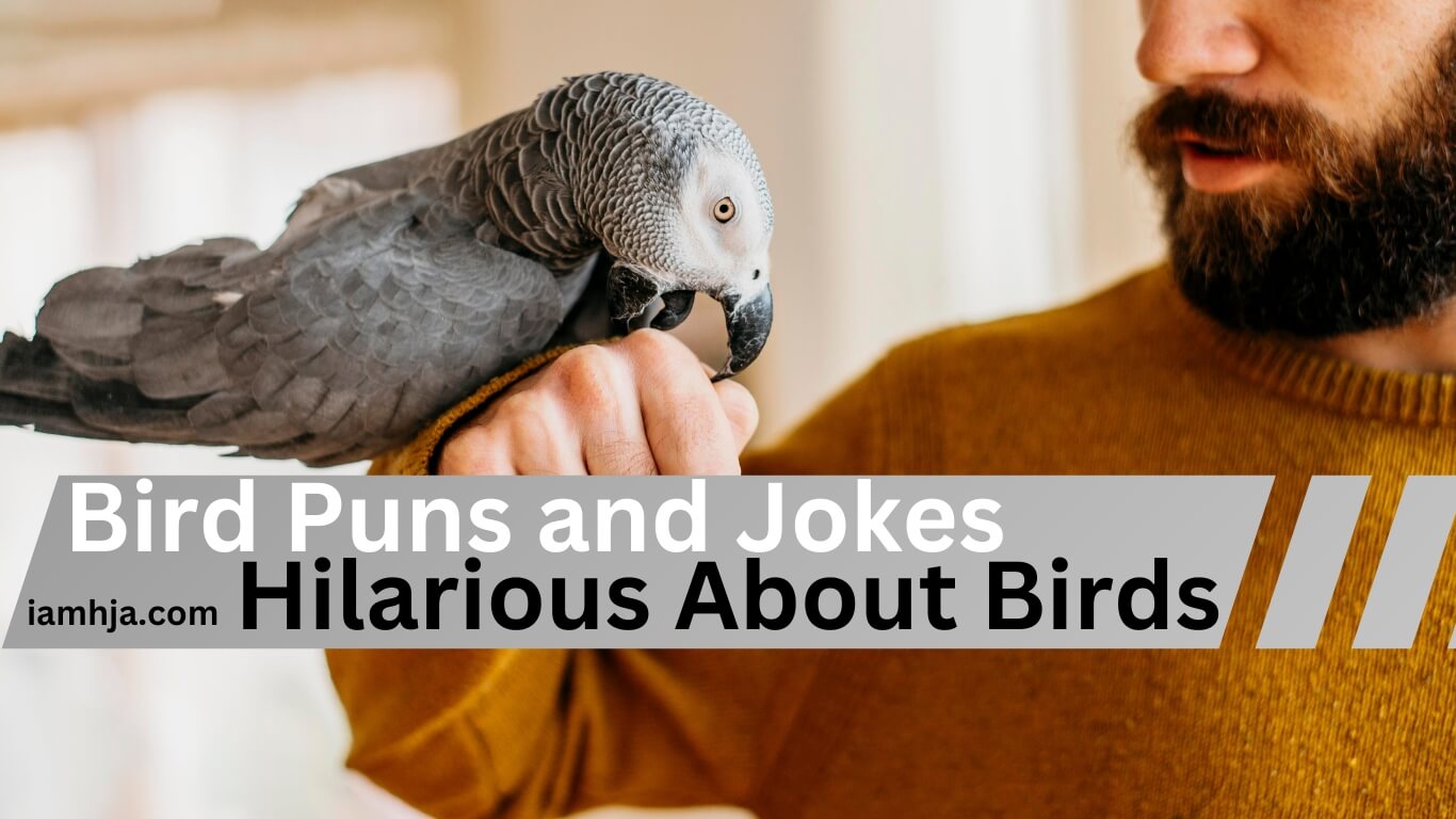 90-bird-puns-and-jokes-hilarious-about-birds